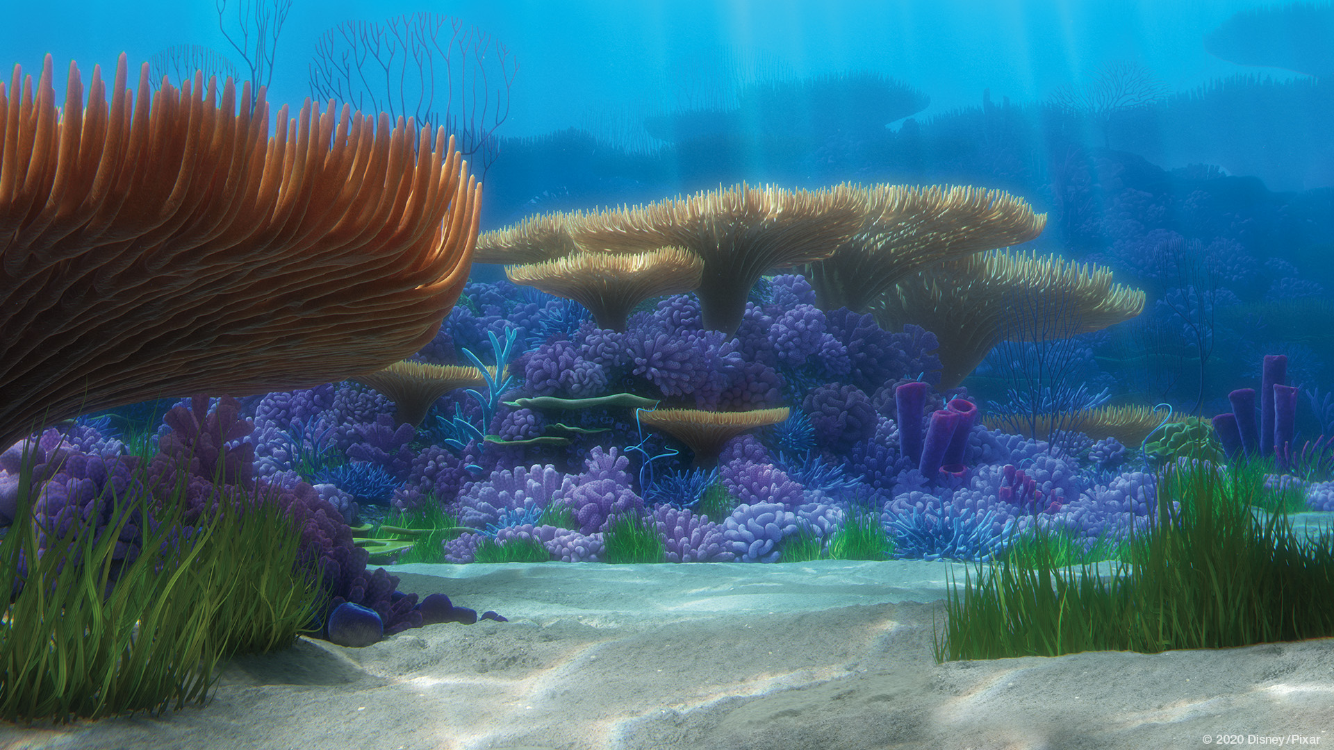 Finding Nemo - Underwater home from the Pixar movie Finding Nemo