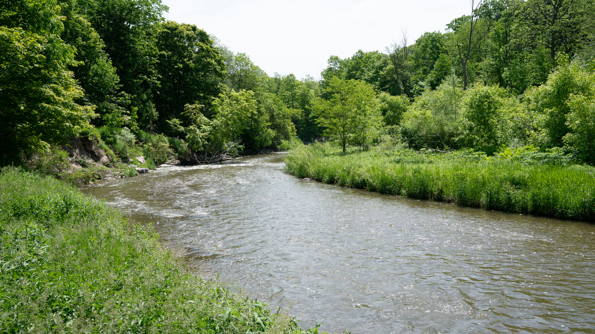 Schitts Creek 3 - River and green landscape