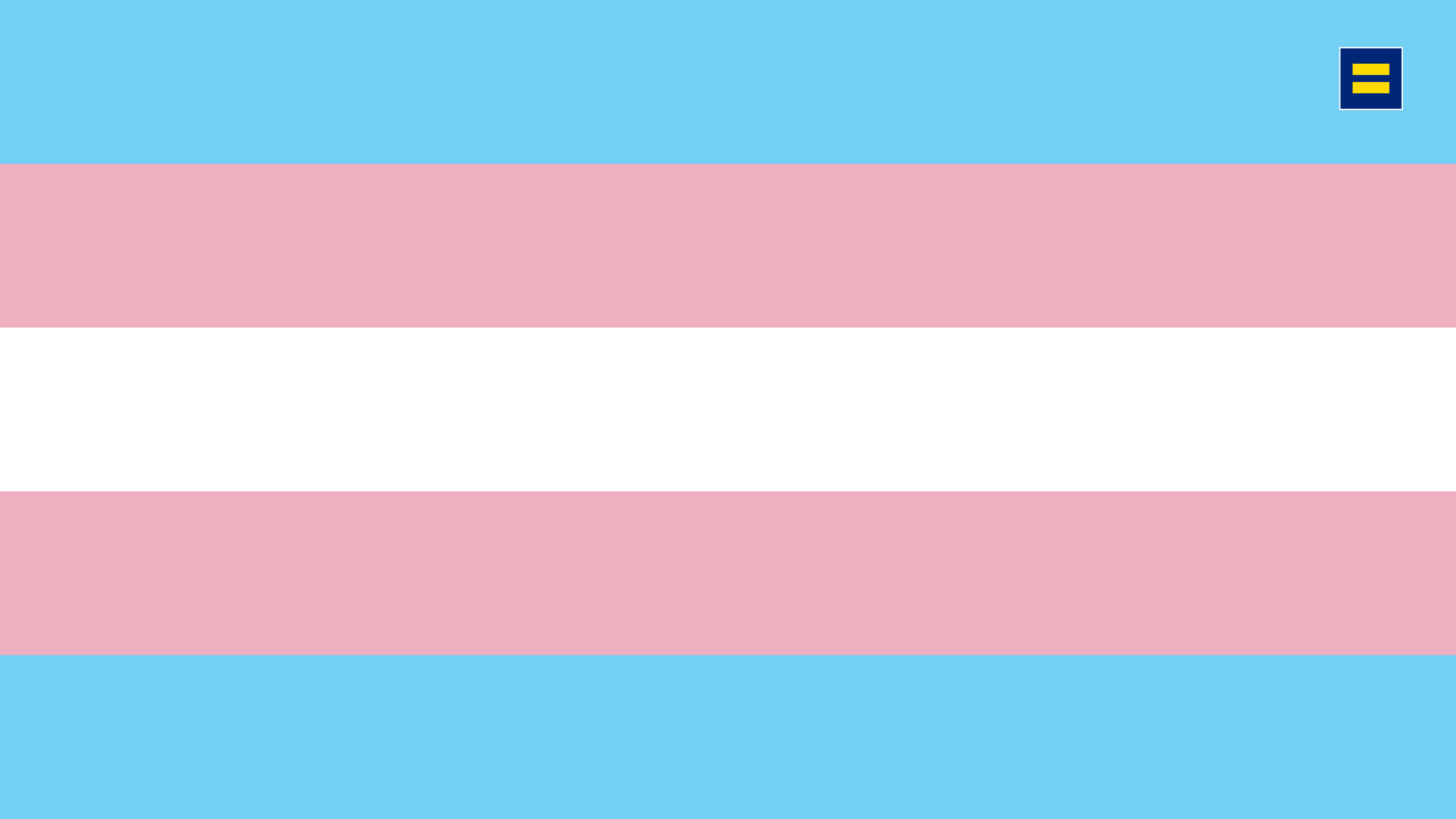 Transgender Flag - Show your pride and promote LGBTQ rights